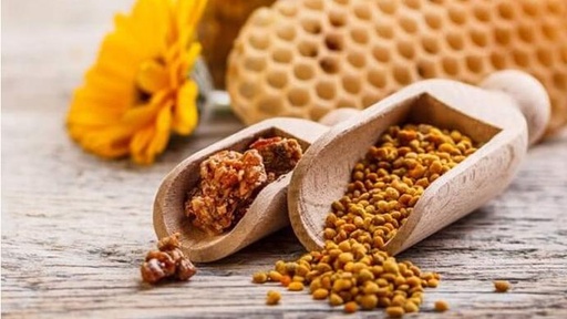 Курс для молоді (10-18 років)